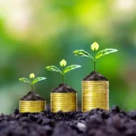 Coaching în Afaceri: Cum Poate Să Accelereze Creșterea Reală 7 Coaching in afaceri simbolizat prin plantă care răsare din monede